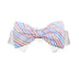 Morgan Bow Tie