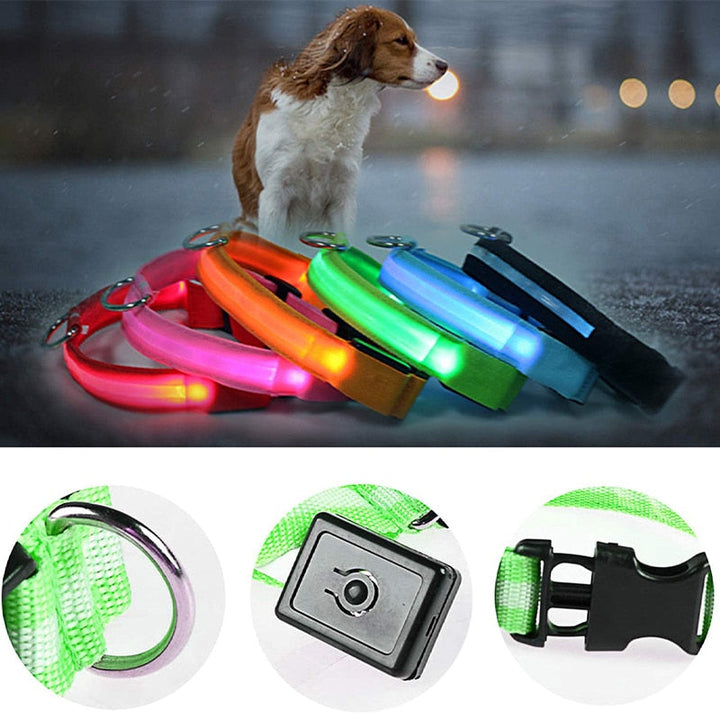 Adjustable LED Glowing Pet Collar