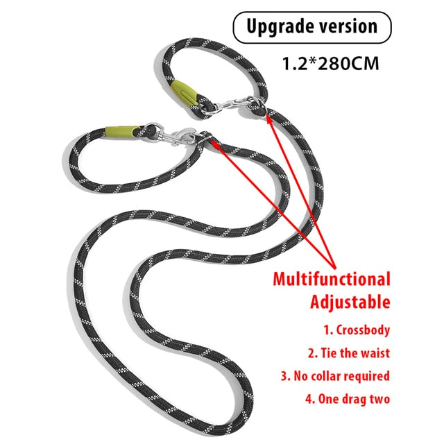 Reflective Nylon Dog Leashes