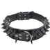 Spiked Studded Leather Collars